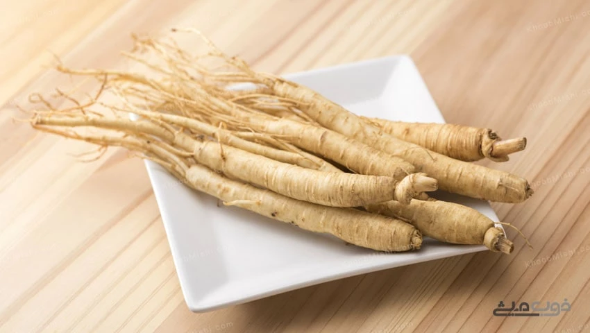 جینسینگ چیست؟