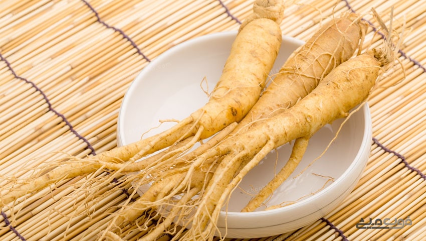 انواع جینسینگ