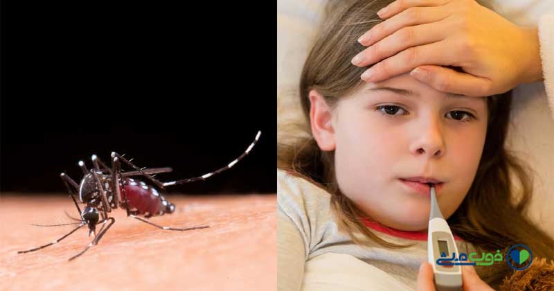 تب دنگی چیست و علائم آن 